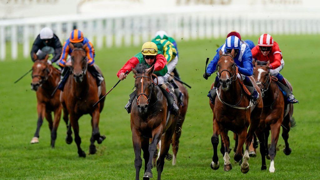 GLORIOUS GOODWOOD DAY 1 PREVIEW - Hurworth Bloodstock